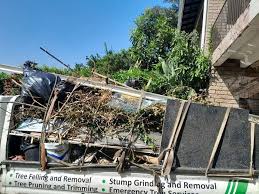 Shed Removal in Columbia, IL